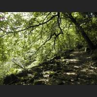 PIC00017_Koenigstuhl_Wanderung.jpg