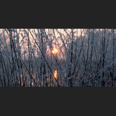 IMG_4547.jpg