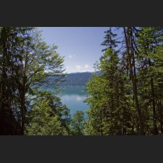 IMG_8292_Walchensee.jpg