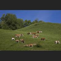 comp_IMG_8369_Schliersee.jpg