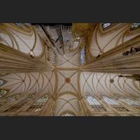 IMG_2359_Regensburg_Dom_Decke_1800.jpg