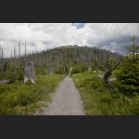 IMG_7500.jpg
