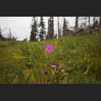 IMG_7553.jpg