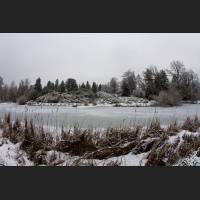 01_IMG_3315_Botanischer_Garten_Alpinum.jpg