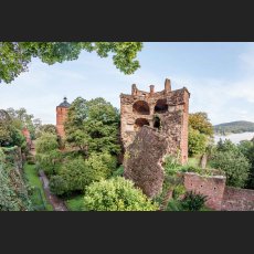 IMG_0958_Schloss_Heidelberg.jpg