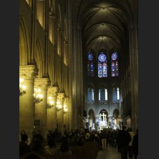 IMG_0991.jpg