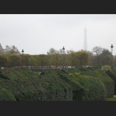 IMG_1063.jpg