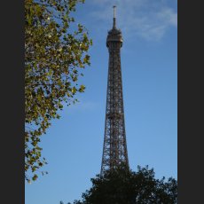 IMG_1115.jpg