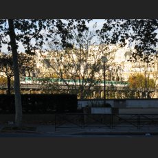 IMG_1118.jpg