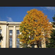 IMG_1177.jpg