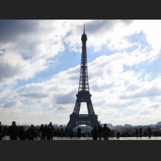 IMG_1184.jpg