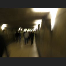 IMG_1199.jpg