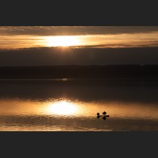 IMG_1148_Ammersee_Herrsching.jpg