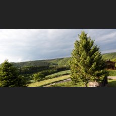 420A5788.jpg