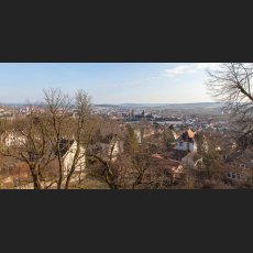 IMG_8778.jpg