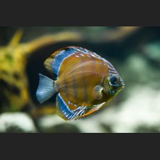 IMG_6423_Scalar.jpg