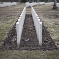 IMG_6075_Berlin_War_Cemetery.jpg