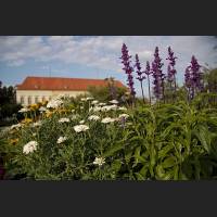 IMG_8799_Schloss_Dachau_Garten_WW_1200.jpg