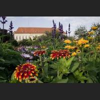 IMG_8807_Schloss_Dachau_Garten_1200.jpg