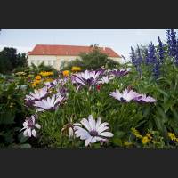 IMG_8817_Schloss_Dachau_Garten_1200.jpg