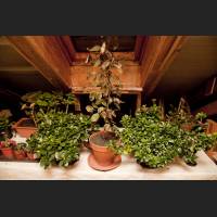 IMG_9804_Winterquartier.jpg