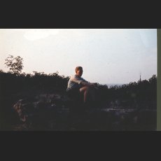 scan0006.jpg