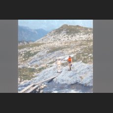 scan0007.jpg
