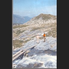 scan0008.jpg