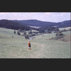 scan0006.jpg