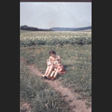 scan0008.jpg