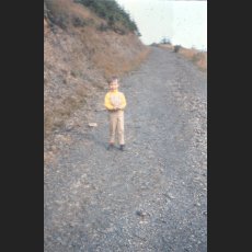 scan0010.jpg