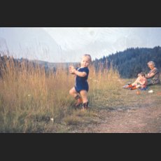 scan0010.jpg