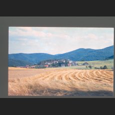 scan0003.jpg