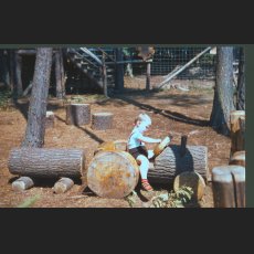 scan0017.jpg