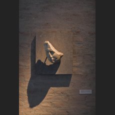 IMG_5031.jpg