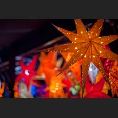 IMG_0361_Weihnachtsstern.jpg