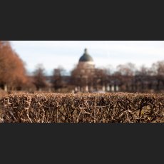 IMG_1068_Bayerische_Staatskanzlei.jpg