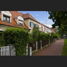 IMG_8286_Joergstr.52.jpg