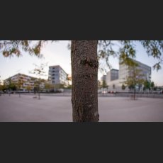IMG_0314.jpg