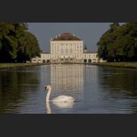 IMG_1116_Schwan_Schloss_Nymphenburg_1200.jpg
