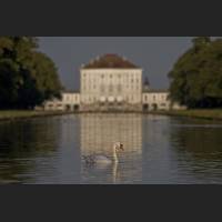 IMG_1173_Schwan_Schloss_Nymphenburg_1200.jpg