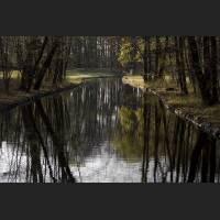 IMG_7342_Nymphenburger_Park_1200.jpg