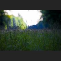 IMG_9501.jpg