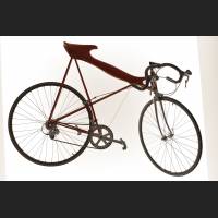 IMG_5835_Fahrrad.jpg