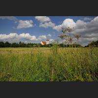 IMG_8974_Durchblick_1200.jpg