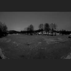 IMG_3441_Westpark_1800.jpg