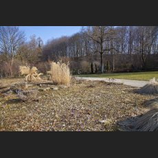 IMG_6037_Westpark.jpg