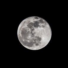 420A4177_Mond.jpg