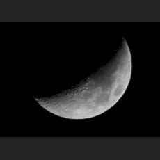 Mond_Crop_IMG_5285.jpg
