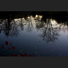 IMG_2765_Wasserspiegelung_1200.jpg